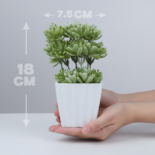 Planta artificial.Modelo: HL-FAC6731