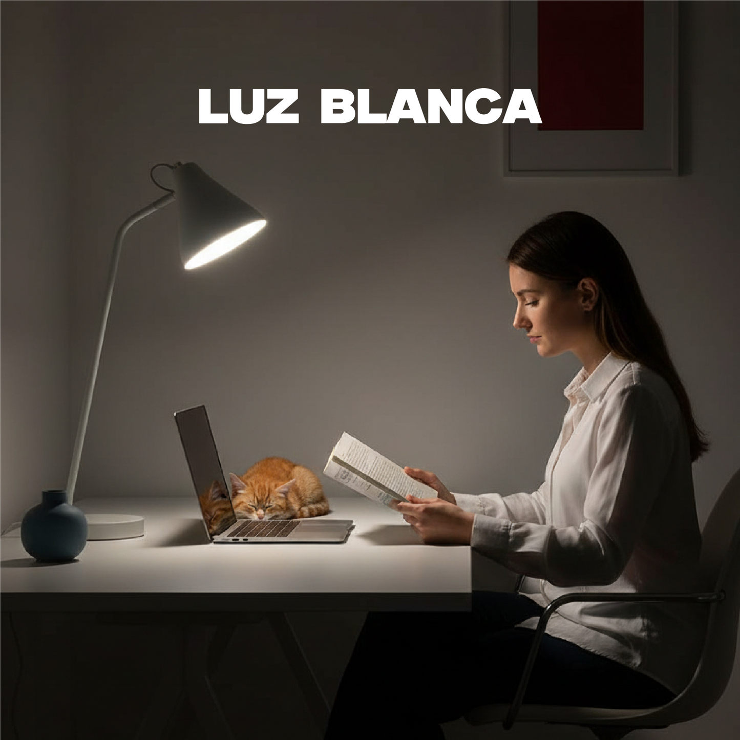 Descripción del Producto: Foco LED 15W Luz Blanca ,Modelo: INT003