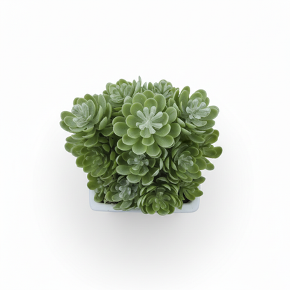 Planta artificial.Modelo: HL-FAC6731