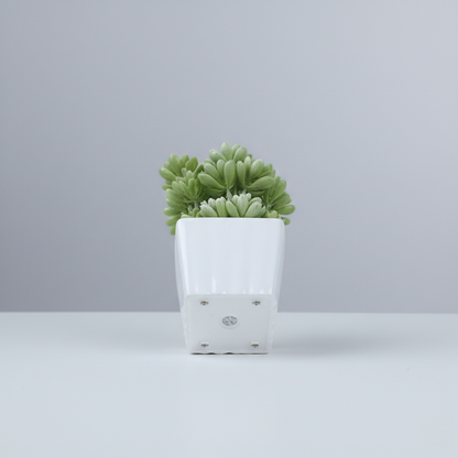 Planta artificial.Modelo: HL-FAC6731