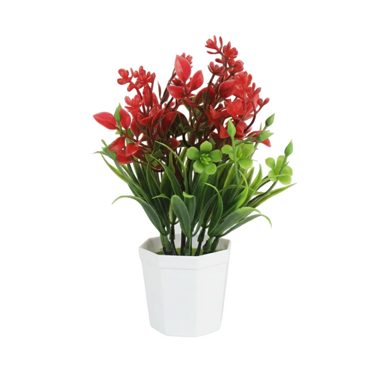 Planta.Modelo:HL-YH23286