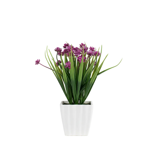 Plantas.Modelo: HL-FAC9313