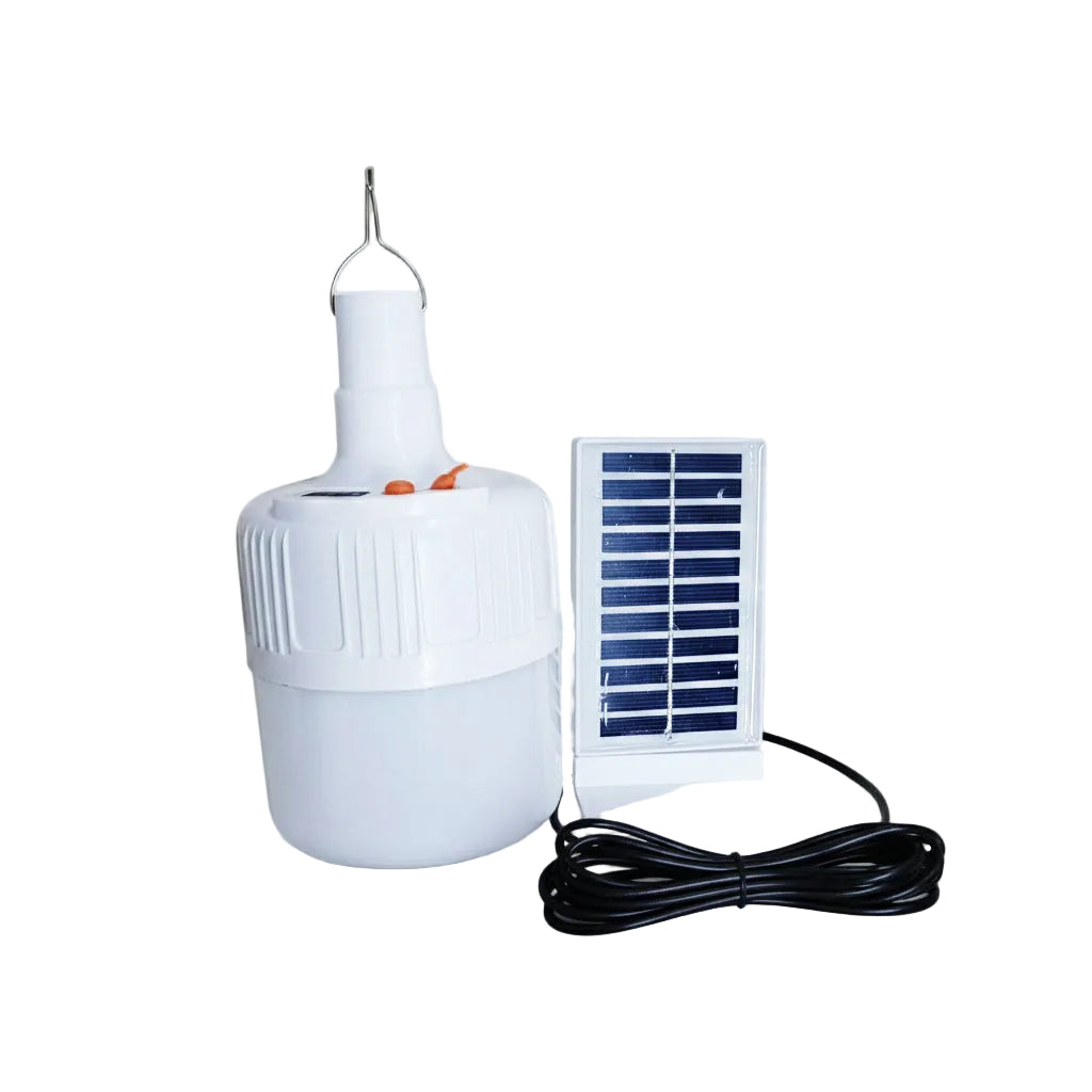 LAM5309 Lampara de Techo