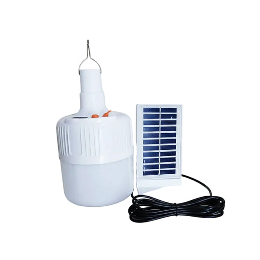 LAM5309 Lampara de Techo