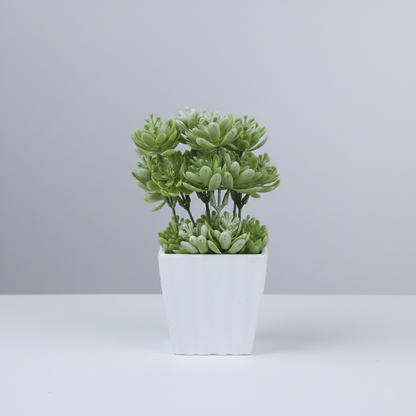 Planta artificial.Modelo: HL-FAC6731