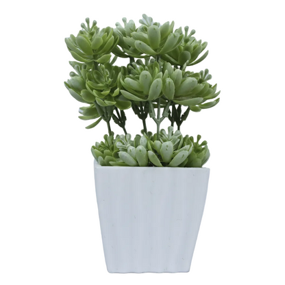 Planta artificial.Modelo: HL-FAC6731
