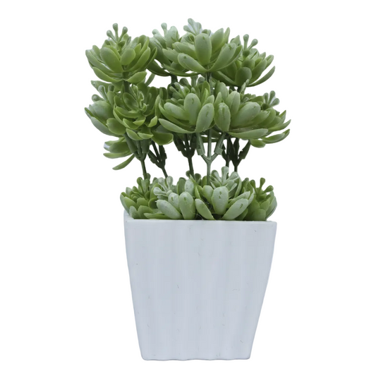 Planta artificial.Modelo: HL-FAC6731