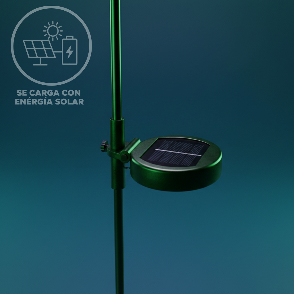 Luces de diente de león: DML8372