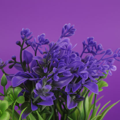 Planta.Modelo:HL-YH23286