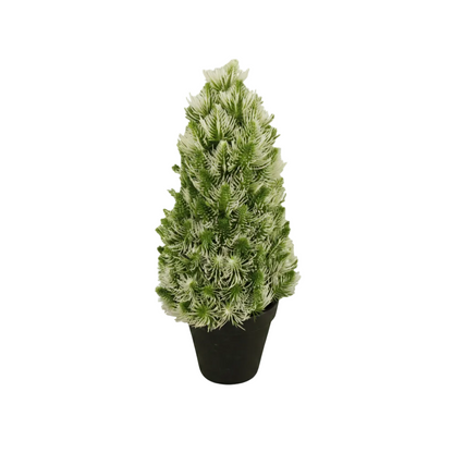 Arbol.Modelo: HL-FA2653