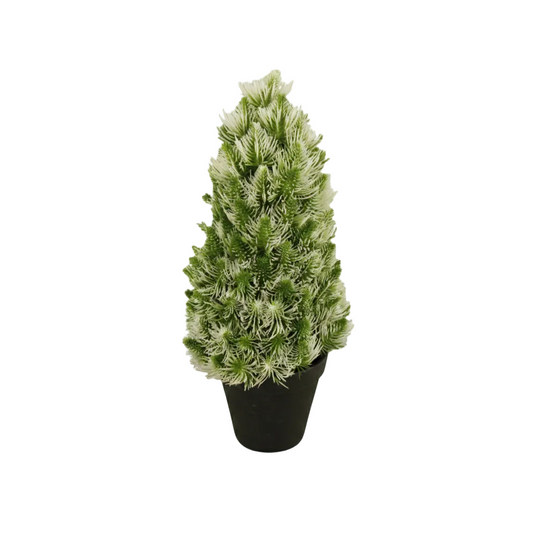 Arbol.Modelo: HL-FA2653