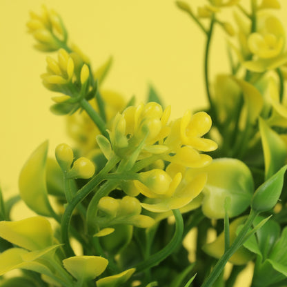 Planta.Modelo:HL-YH23286