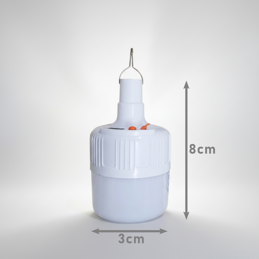LAM5309 Lampara de Techo