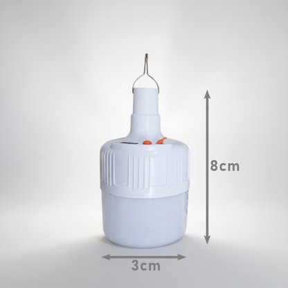 LAM5309 Lampara de Techo