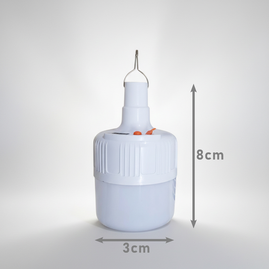 LAM5309 Lampara de Techo