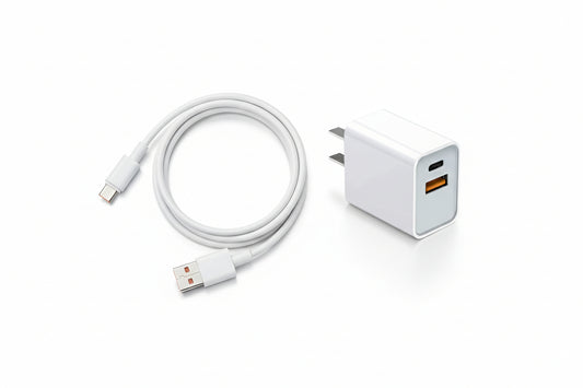 CARG8891 Cargador + cable