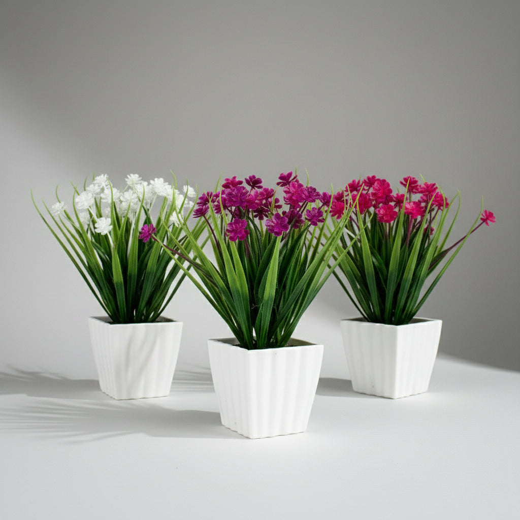 Plantas.Modelo: HL-FAC9313