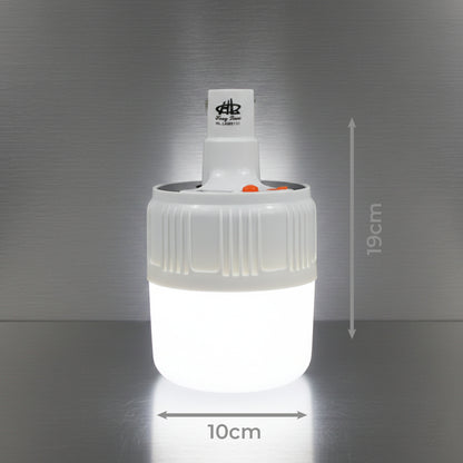 Foco de Emergencia Solar: HL-LAM9131