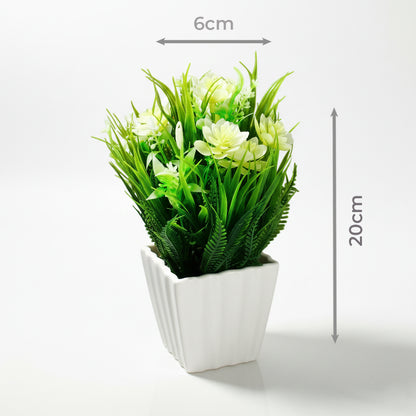Planta de decoración.Modelo:HL-FAC9315