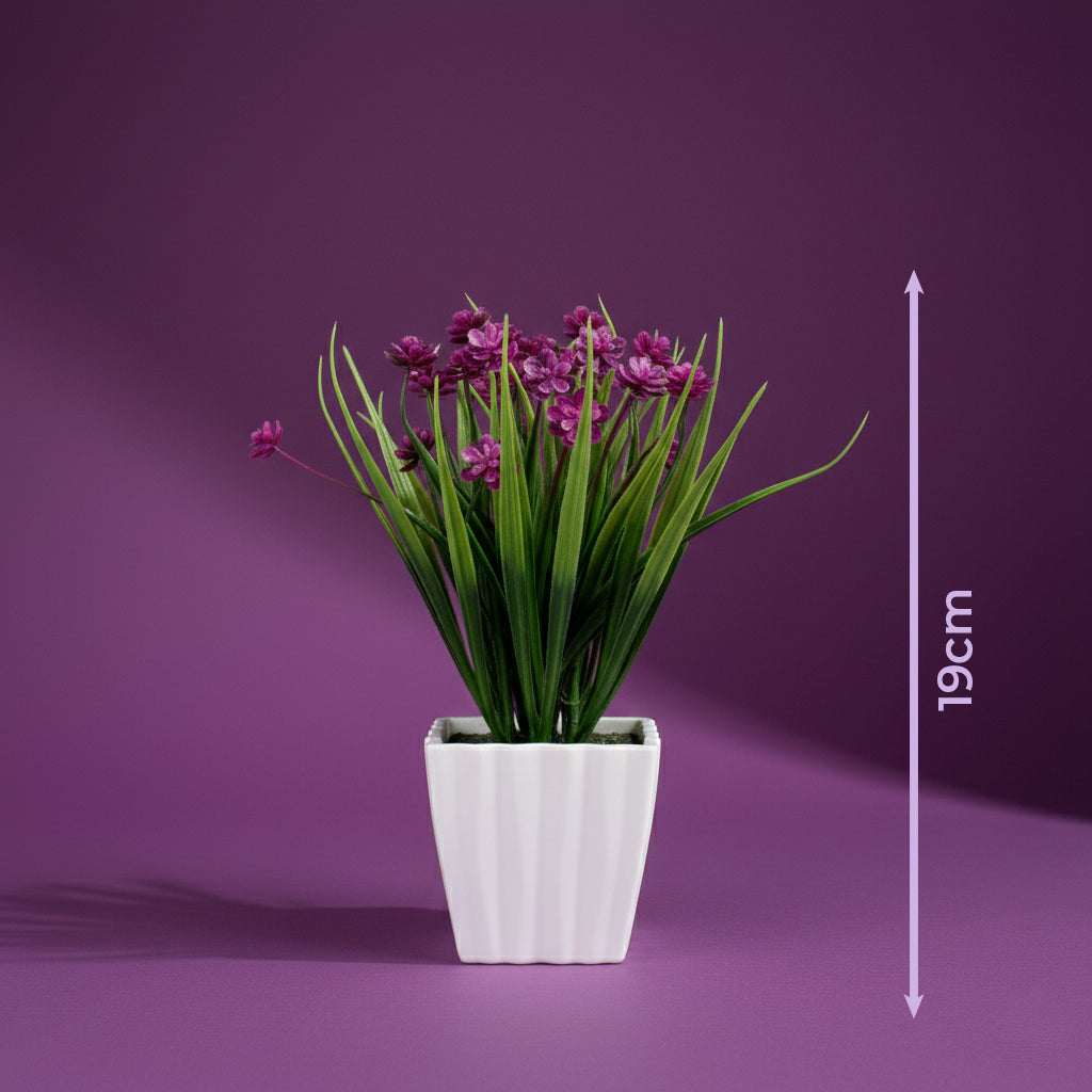 Plantas.Modelo: HL-FAC9313