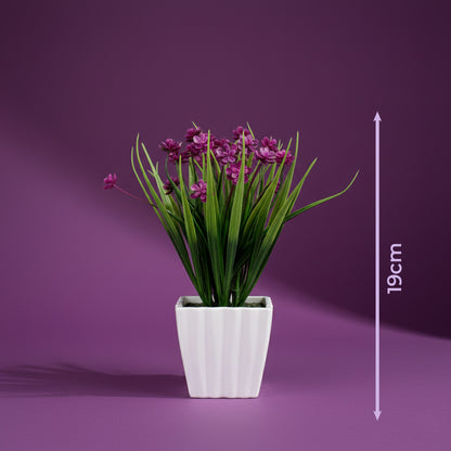 Plantas.Modelo: HL-FAC9313