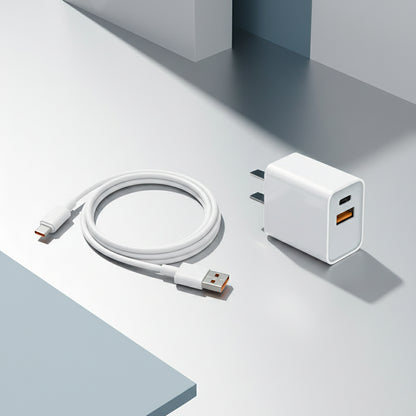 CARG8891 Cargador + cable