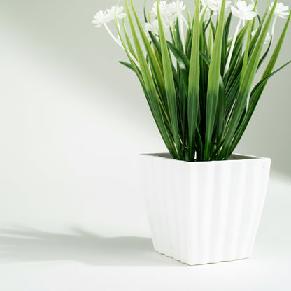 Plantas.Modelo: HL-FAC9313